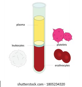 componentes de la sangre en el cuerpo humano