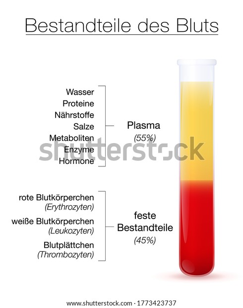 Components Blood Infographic German Text Test Stock Vector (Royalty ...