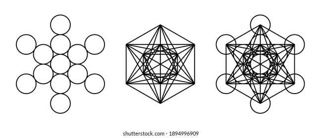 Components of Metatrons Cube. Mystical symbol, derived from the Flower of Life. All thirteen circles are connected with straight lines. Sacred Geometry. Black and white illustration over white. Vector