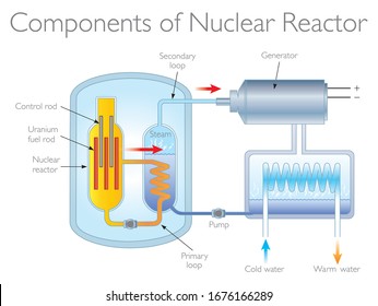 Components of Nuclear Reactor. The energy released from the Uranium splitting heats the water. steam is then used to turn electricity generators, producing the electricity.
Physics Illustration