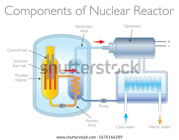 Components of Nuclear Reactor. The energy\
released from the Uranium splitting heats the water. steam is then\
used to turn electricity generators, producing the\
electricity.\
Physics\
Illustration