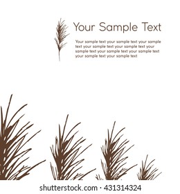 Composite image of twigs, grasses, or algae on a light background. Abstract cover suitable for corporate identity, printed products on the theme of nature.