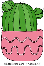 Composite plant in a pot or vase. Home garden. Color flat vector illustration. Cartoon isolated on a white background.