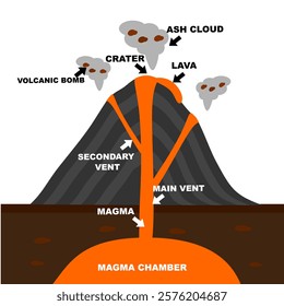 Composite Volcano vector illustration. Geography learning explanation. Parts of volcano vector diagram. Printable graphic for book or digital usage