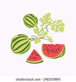 Composición de formas botánicas abstractas, sandías y hojas verdes , estilo minimalista, dibujado a mano. Cartel, decoración interior de habitación, diseño para textiles, postal, concepto, clipart, vector 