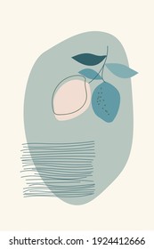 Composition of abstract shapes and botanical elements,  minimalism , hand drawn. For packaging, wallpaper, poster, room interior decor, design for textiles, postcard, concept, clipart, vector 