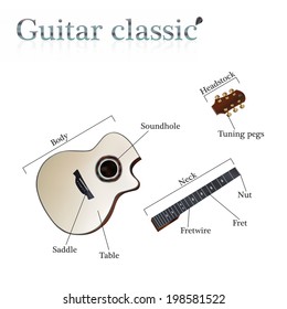 Composition of acoustic guitar, vector Illustration
