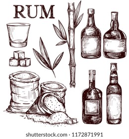 Composición de ron de bebida alcohólica. Hojas de caña dibujadas a mano, tallos de plantas azucareras, cosecha de caña de azúcar, vidrio y botella de ron. Vector establecido en estilo de grabado vintage.