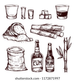 Composition of alcoholic beverage rum. Hand drawn cane leaves, sugar plant stalks, sugarcane farm harvest, glass and bottle of rum. Vector set in vintage engraving style.