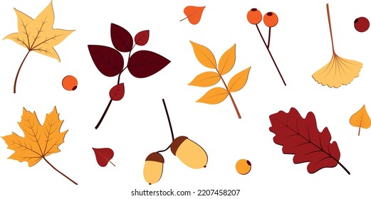 composition of autumn colorful red yellow orange leaves