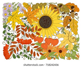 Composition with autumn flowers, leaves and plants. 