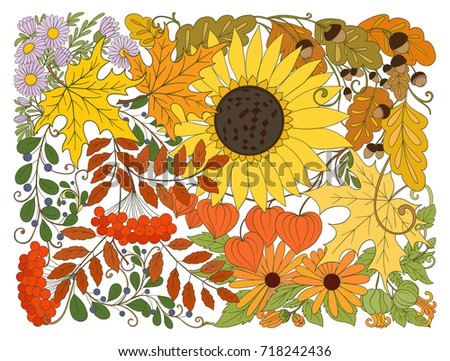 Composition with autumn flowers, leaves and plants. 