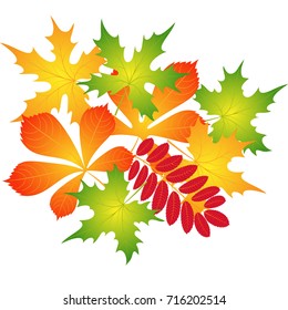 composition of autumn leaves