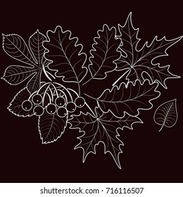 composition of autumn leaves against the background