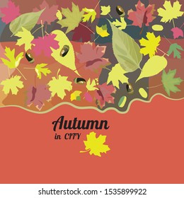 Composition of autumn leaves in different colors. Leaf fall. Autumn