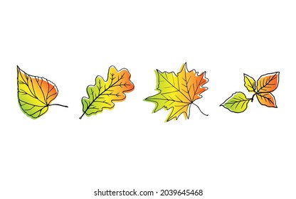 Composition of autumn leaves of linden, maple, oak, birch. Leaves of all shades of autumn - red, yellow, green, gold. Vector illustration