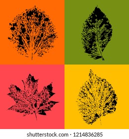 Composition of autumn leaves prints.