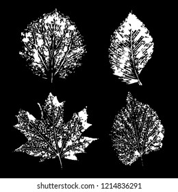 Composition of autumn leaves prints.