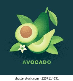 Composition of avocado with leaves. Vector illustration. Whole and halved avocado isolated on black background. Drawing in abstract style with noise and grain texture.