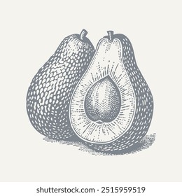 Composition of Avocados. Vintage woodcut engraving style vector illustration.
