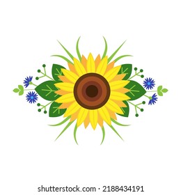 Composition with beautiful sunflower on white background
