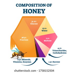 Composition of bee honey vector illustration. Labeled food structure scheme. Educational percentage graphic with organic glucose, fructose, water and maltose as main fresh honeybee nutrition content.