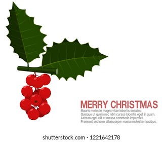 Composition of berries bunch for merry Christmas decoration