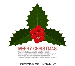 Composition of berries bunch for merry Christmas decoration