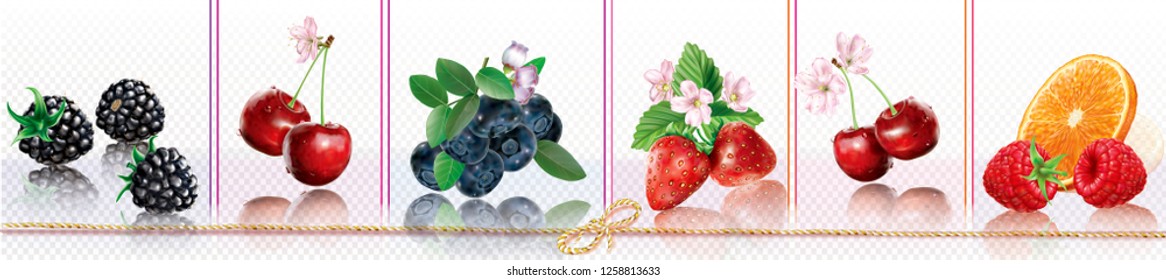 Composition with berries on a transparent background places in a horizontal line. Vector mesh illustration