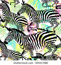 Composition of black and white zebra tropic animal in the jungle on colorful painting hand drawn background. Print seamless vector pattern in fashion styles