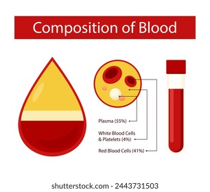 composition of blood design concept