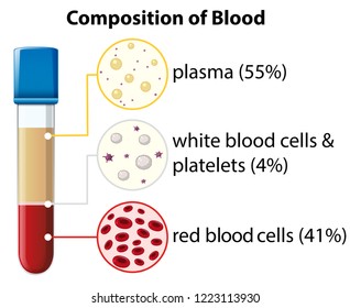 Blood Composition Images Stock Photos Vectors Shutterstock