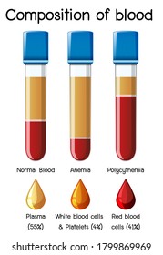 Composition of blood diagram illustration