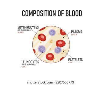 Composición de sangre.  Glóbulos rojos, linfocitos, plaquetas y plasma. 