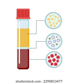 The Composition of Blood. Red blood cells, white blood cells, platelets and plasma. Vector test tube with cap illustration