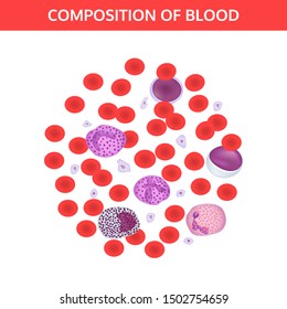Composition of blood: red and white cells, platelets under a microscope. Medical vector concept on white background.