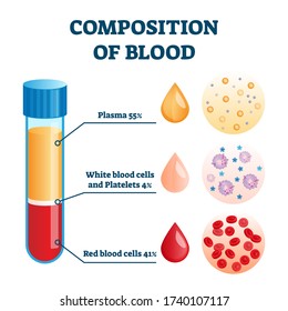 Composition of blood vector illustration. Labeled anatomical structure scheme with plasma, white and red cells and platelets. Percentage diagram with body liquid parts amount explanation information.