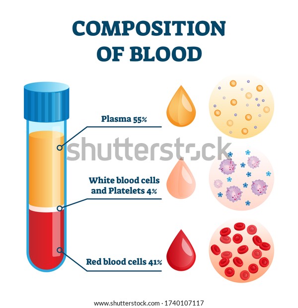 Composition of blood vector illustration.\
Labeled anatomical structure scheme with plasma, white and red\
cells and platelets. Percentage diagram with body liquid parts\
amount explanation\
information.