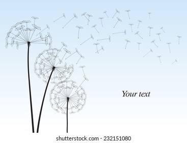Composition of blowing dandelion on a blue background. Vector outline illustration