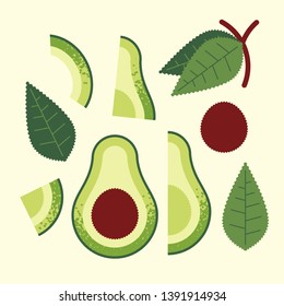 Composition, botanical illustration of ripe avacado, pieces, leaves, seed.