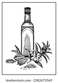 Composition with a bottle of oil, a twig with flowers and leaves, sesame seeds. Vertical vector illustration isolated on a white background. Graphic, linear drawing.