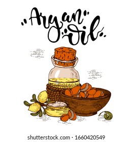 Composition with branch argan tree with fruits, nuts argans, leaves and glass bottle with oil and accessories Detailed hand-drawn sketches and lettering, vector botanical illustration.