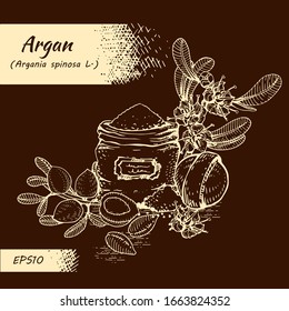 Composition with branch argan tree with fruits, nuts argans, leaves, flower argans and and accessories Detailed hand-drawn sketches, vector botanical illustration. 