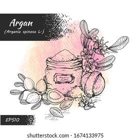 Zusammensetzung mit Zweig-Arganbaum mit Früchten, Nussargans, Blättern, Blumenargans und Zubehör Detaillierte handgezeichnete Skizzen, botanische Vektorillustration. 