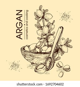 Composition with branch argan tree with fruits, nuts argans, leaves and accessories Detailed hand-drawn sketches, vector botanical illustration. 