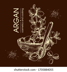 Composition with branch argan tree with fruits, nuts argans, leaves and accessories Detailed hand-drawn sketches, vector botanical illustration. 