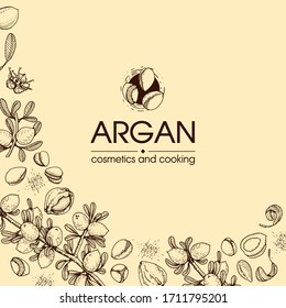 Zusammensetzung mit Zweig-Arganbaum mit Früchten, Nüssen, Blättern und Zubehör Detaillierte handgezeichnete Skizzen, botanische Vektorillustration.