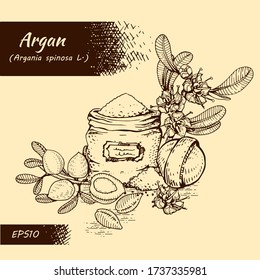 Zusammensetzung mit Ast-Arganbaum mit Früchten, Nüssen Argans, Blättern, Blumenargans und Zubehör Detaillierte handgezeichnete Skizzen, vektorbotanische Abbildung. 