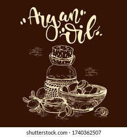 Composition with branch argan tree with fruits, nuts argans, leaves and glass bottle with oil and accessories Detailed hand-drawn sketches and lettering, vector botanical illustration.