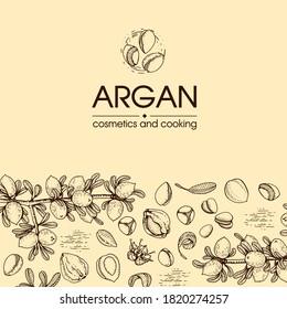 Composición con árbol de argán bifurcación con frutos, argans de nueces, hojas y accesorios Esbozos detallados a mano, ilustración botánica vectorial.